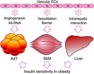 iskandar diabetes mellitus